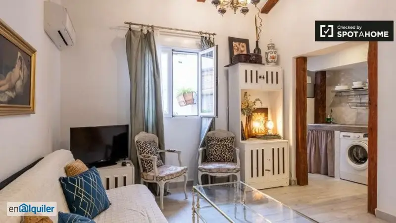 Apartamento 2 Dormitorios Universidad Madrid Amueblado Wifi