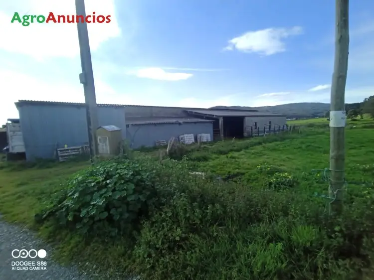 Alquiler  de Nave ganadera en Lugo