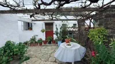 Casa de Campo en Tarifa 5 Dormitorios Gran Jardin