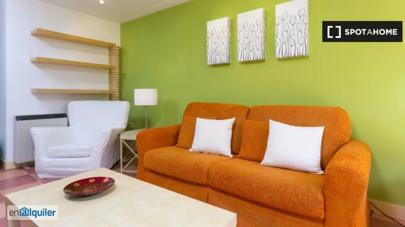 Rent furnished apartment air conditioning Madrid