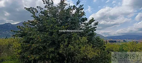Terreno en Pego 102ha con Caseta y Naranjos
