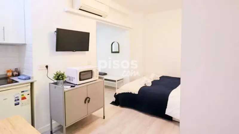 Piso Amueblado en Madrid Temporada o 1 Año