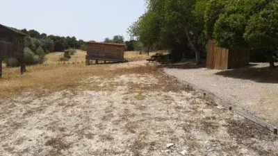 Finca Rústica en Alquiler Montuïri 4040m²