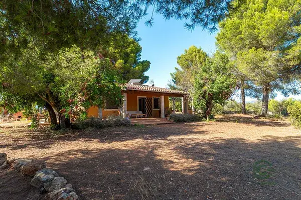 Casa de Campo en Marratxi Alquiler Temporada 7300m2