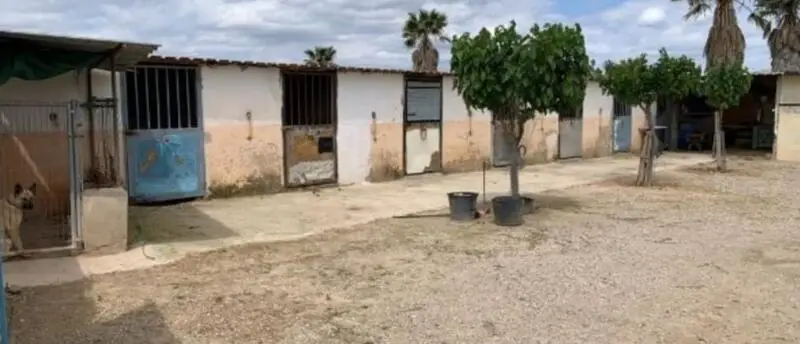 Finca Rustica 68000m2 Monforte del Cid 3 Dormitorios