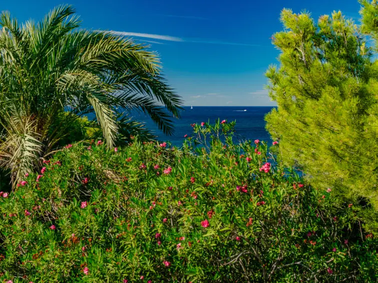 Casa-Villa de 2 Dormitorios alquiler Denia, España