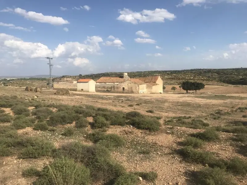 Venta Terreno 121 Hectareas Almansa
