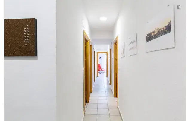 Alquiler Apartamento 4 Dormitorios Granada Centro