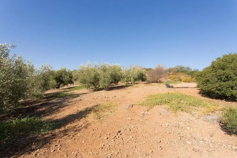 Casa de Campo en Venta en Loja Granada