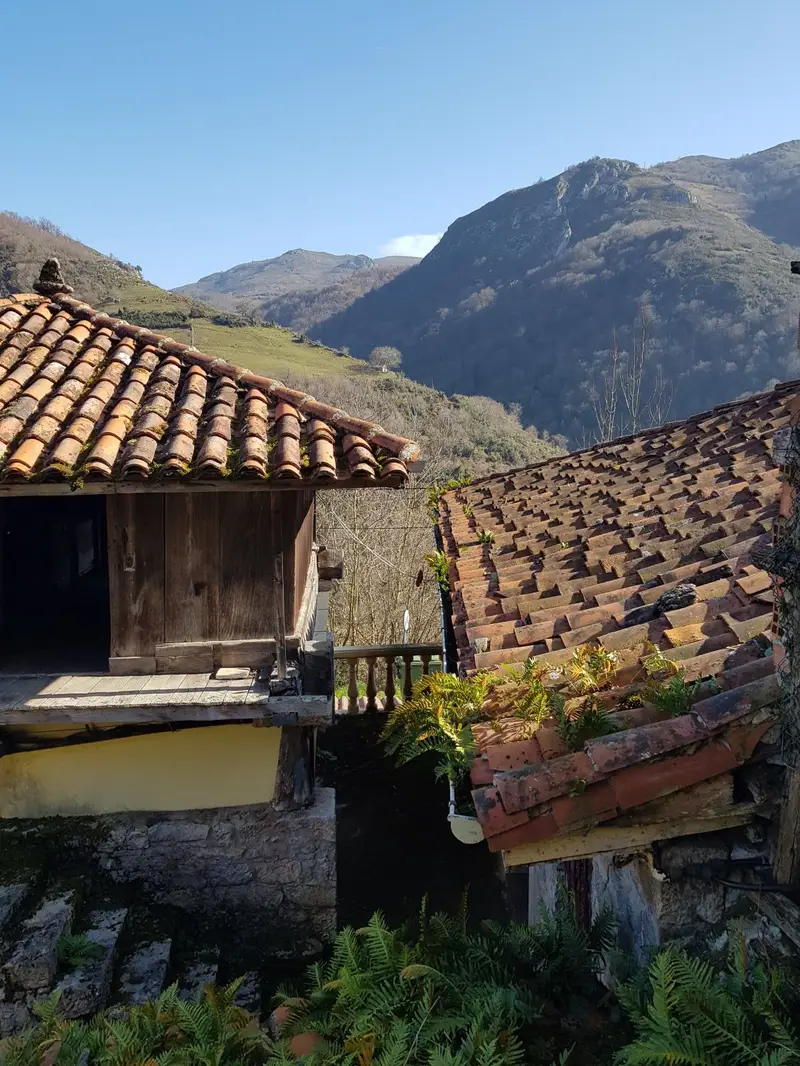 Casa con Garaje en Grado - Reforma y Gran Potencial
