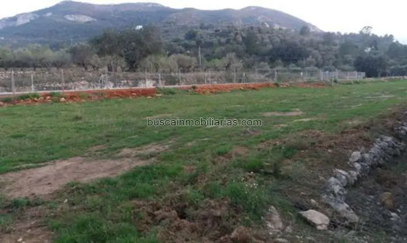 Parcela en Venta Alcalali Vivienda Unifamiliar