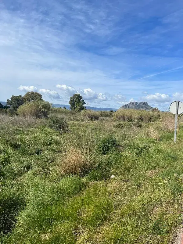 Terrenos Rusticos en Venta Denia Cerca de la Playa