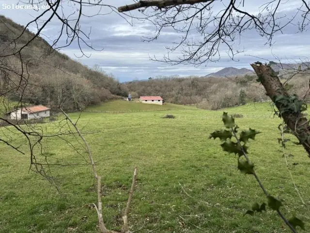Nave Ganadera en Venta en Avin Asturias