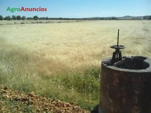 Venta  de Finca de recreo en Badajoz