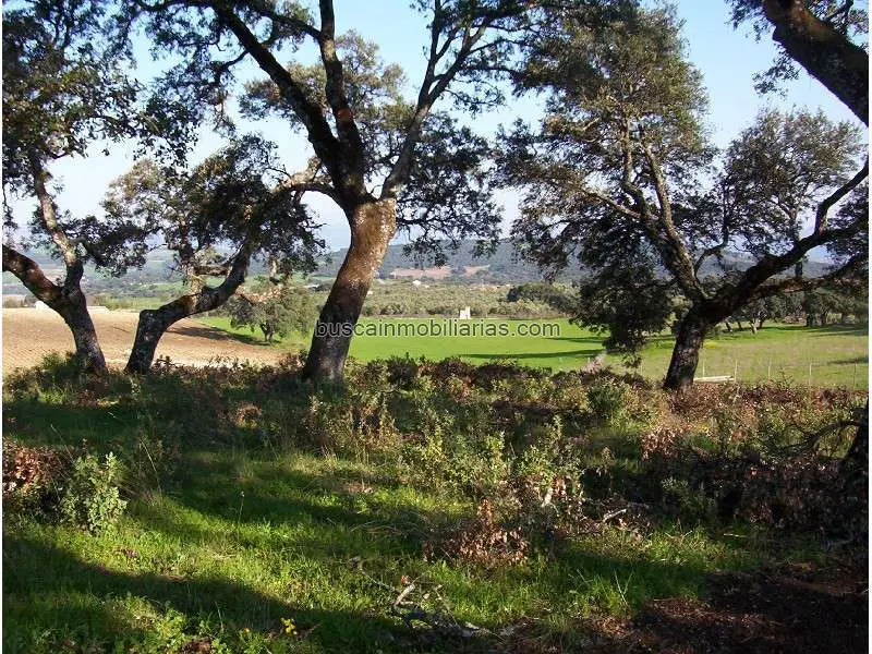 Parcela Rustica en Venta Ronda 471 Hectareas Vistas Panoramicas