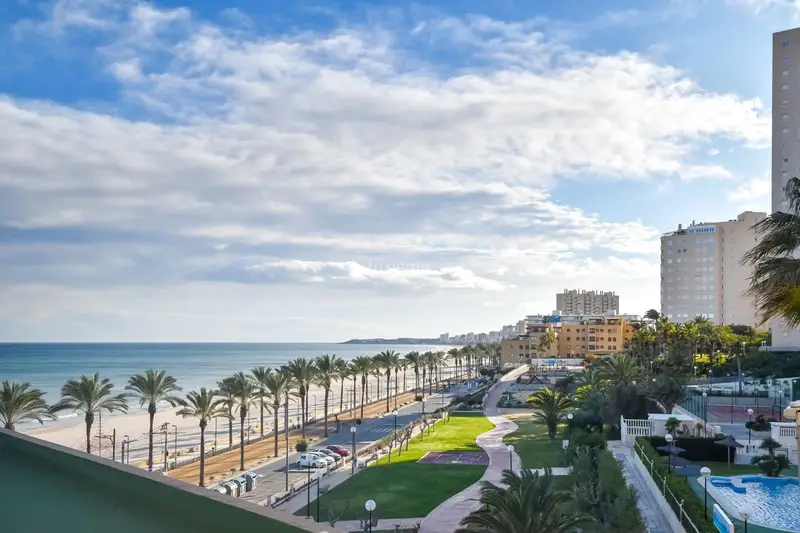 Apartamento en venta Playa Muchavista El Campello 3 dormitorios