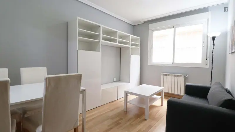 Apartamento 1 Dormitorio Madrid