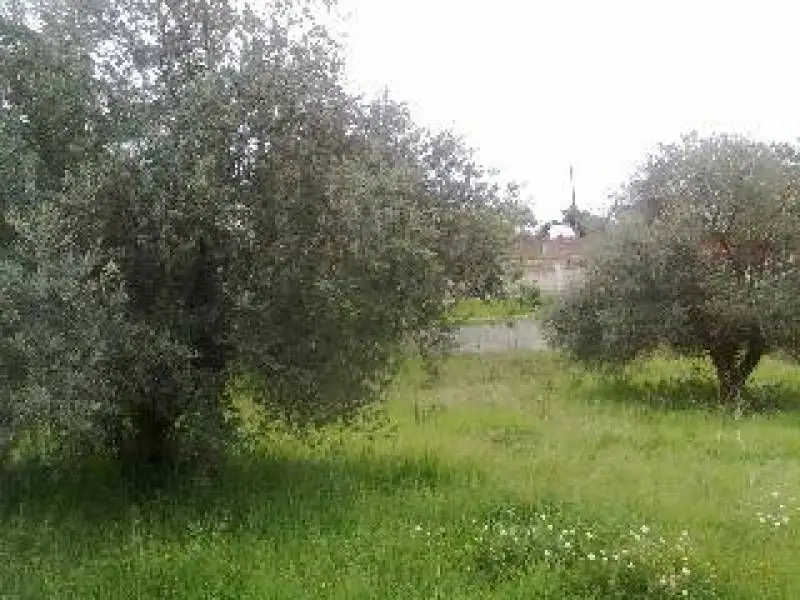 Venta Solar 650m2 Masquefa Can Parellada Chalet Unifamiliar