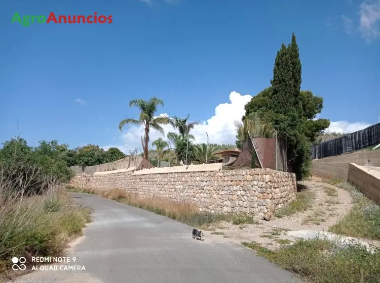 Venta  de Finca de mangos con cortijo en Granada