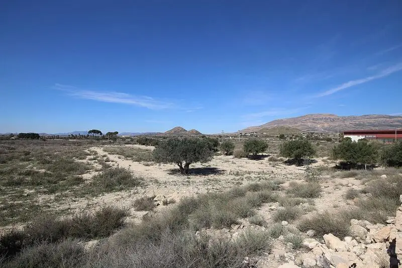 Solares Edificables en Agost Alicante 20000m2