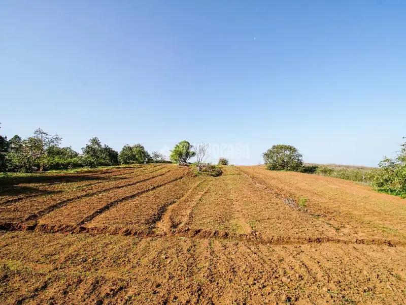 Terrenos en venta en Tacoronte