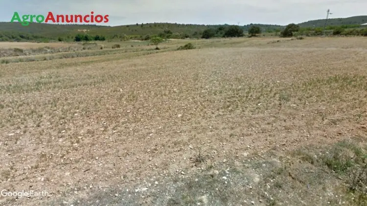 Venta  de Finca con almacén en Castellón