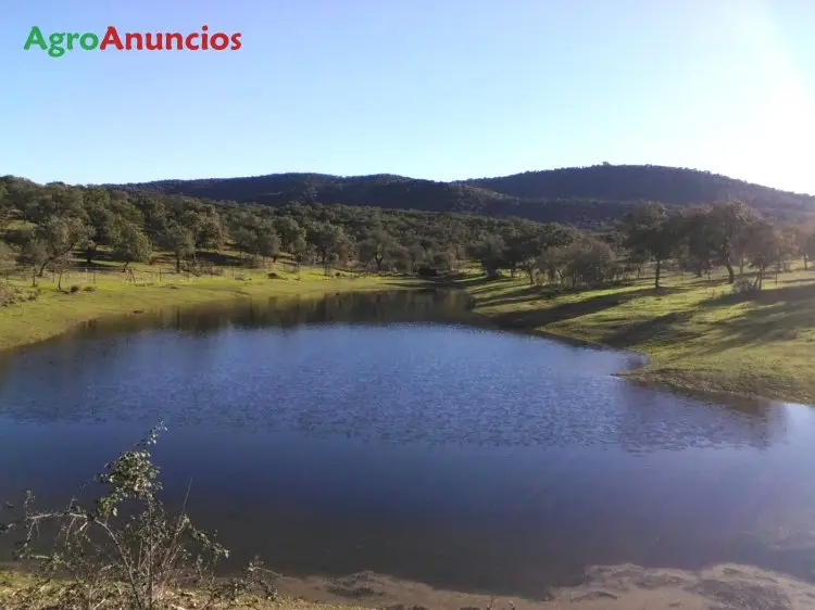 Alquiler  de Finca con dehesa en Córdoba