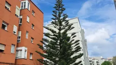 Piso Reformado en Alto Miranda Cerca de Playas y Universidad