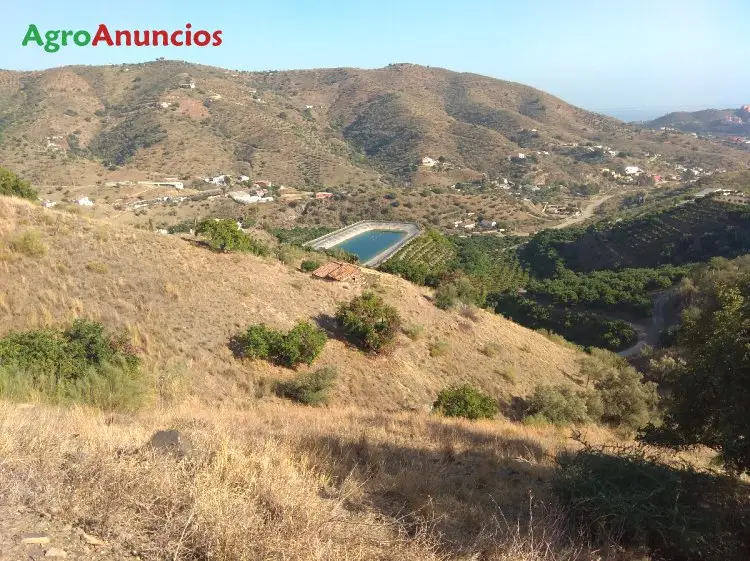 Venta  de Finca con casas y huerto en Málaga