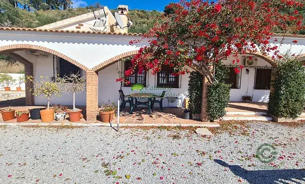 Alquiler Larga Temporada Finca Cómpeta Sayalonga