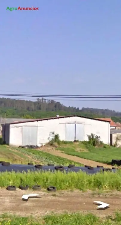 Alquiler  de Nave ganaderia en A Coruña