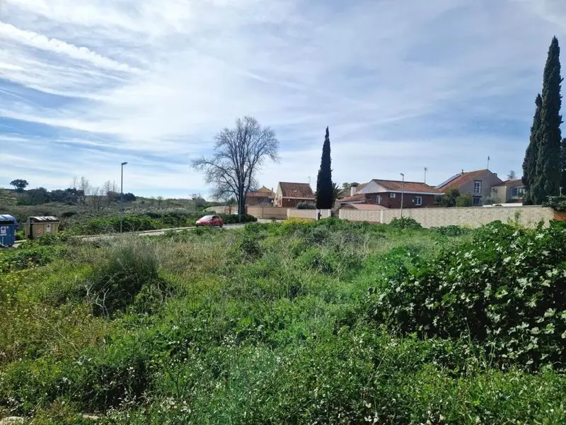 Venta Suelo en Las Nieves Parcela 1000m²