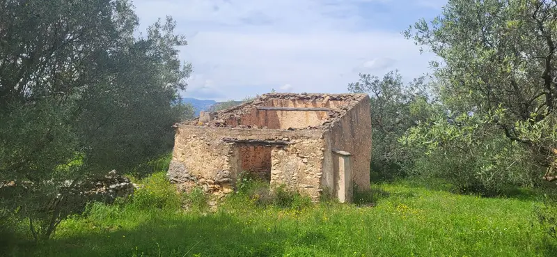 Venta Finca Rustica Roquetes 7593m2 con Casita