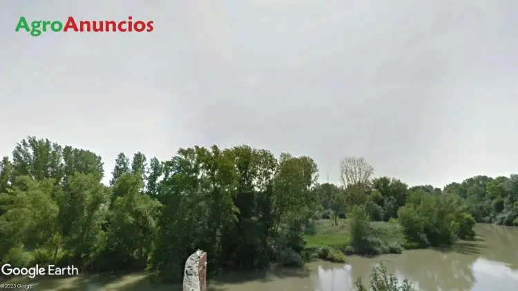 Venta  de Finca de regadío y árboles de ribera en Valladolid