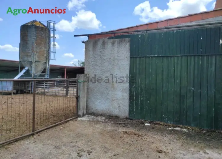 Venta  de Finca ganadera en Salamanca