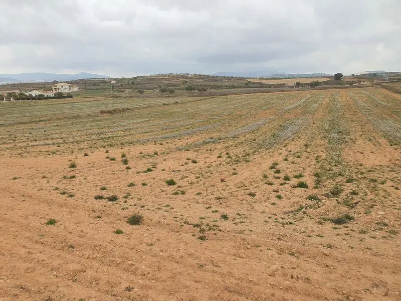 Parcela en Venta Pinoso con Vistas a la Sierra