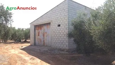 Venta  de Finca de regadío en Málaga