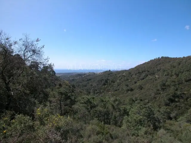 Finca Rústica con Vistas al Mar - Estepona