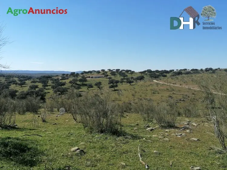 Venta  de Finca ganadera en Cáceres