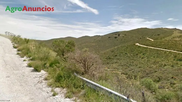 Venta  de Finca con cortijo en sierra filabres en Almería