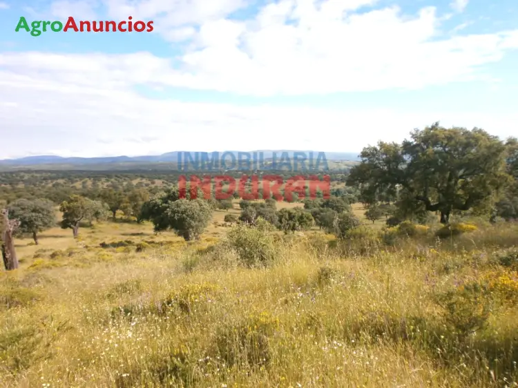 Venta  de Finca ganadera con varios inmuebles y plaza de toros en Cáceres