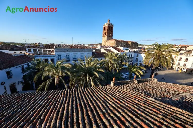 Casa Señorial en Zafra: 950m2, 40 estancias, 3 terrazas