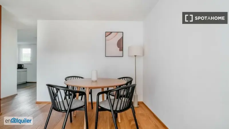 Apartamento 2 Dormitorios en Alquiler Zúrich