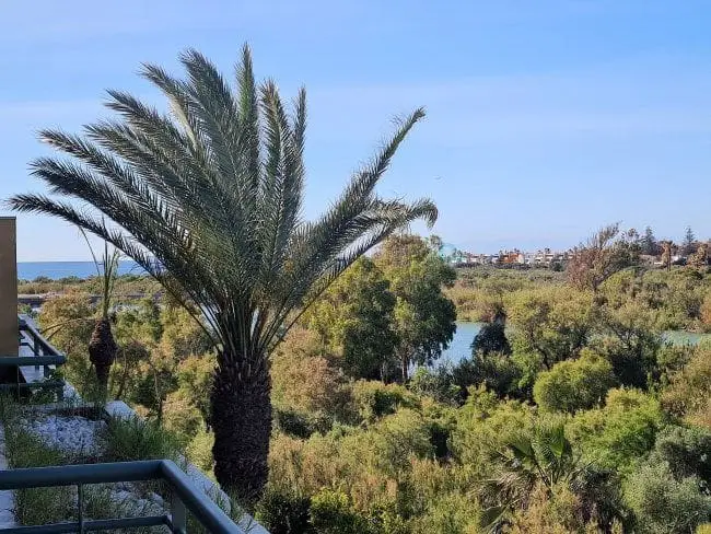 Apartamento en Sotogrande para alquiler Julio Agosto