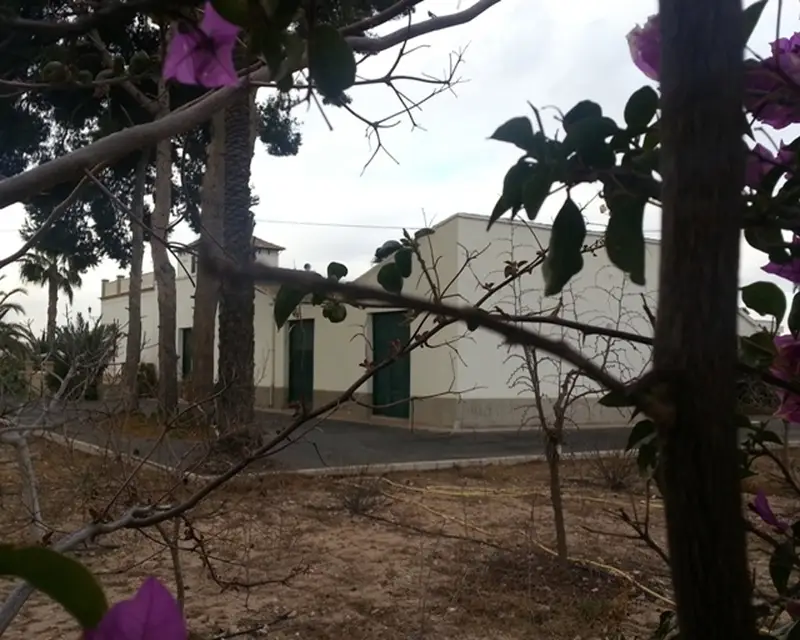 Chalet 379m2 en Elche