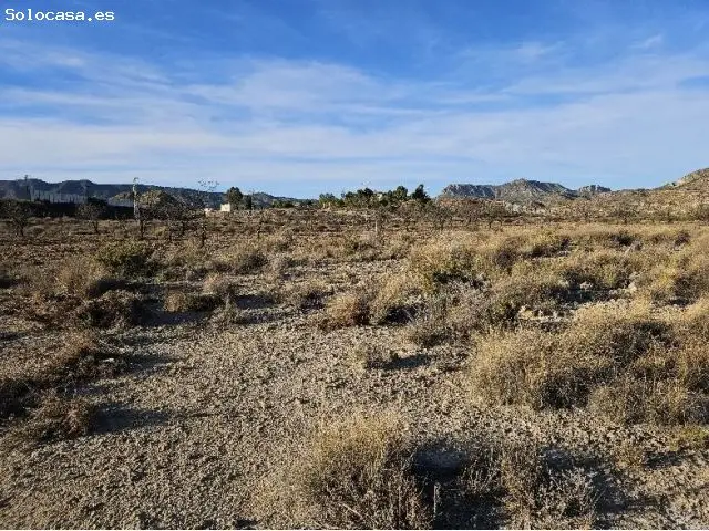 Parcela en Venta en Elda Alicante 61000m2