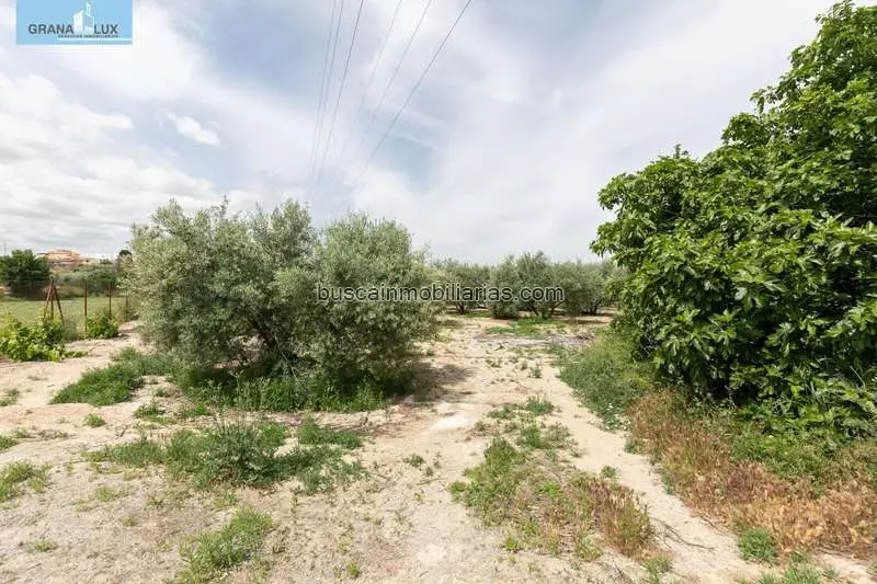 Parcela Rustica en Venta Las Gabias
