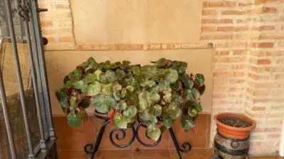 Piso en venta en Poblete 191m2 4 dormitorios 2 baños garaje