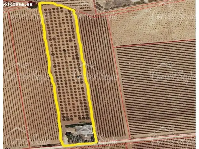 Parcela Rustica en Venta Tomelloso Ciudad Real