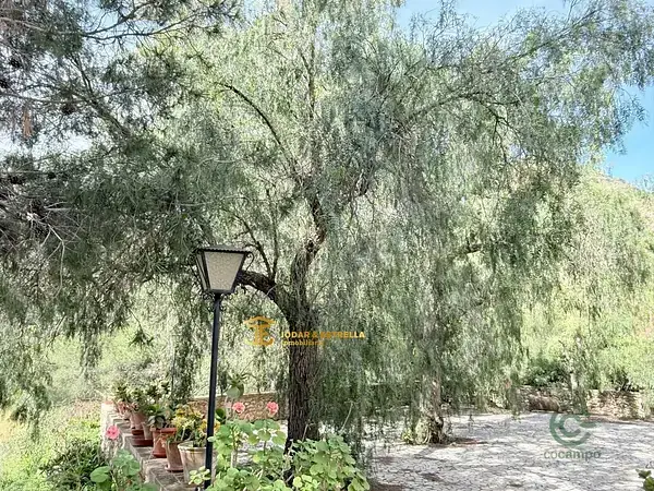 Chalet con 5 Dormitorios Piscina y Barbacoa en Aguaderas Lorca